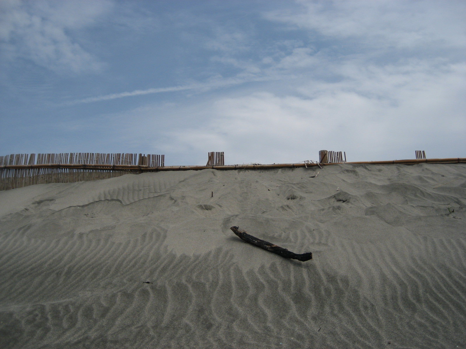 東海地方最大の砂丘！中田島砂丘へ遊びに行こう。