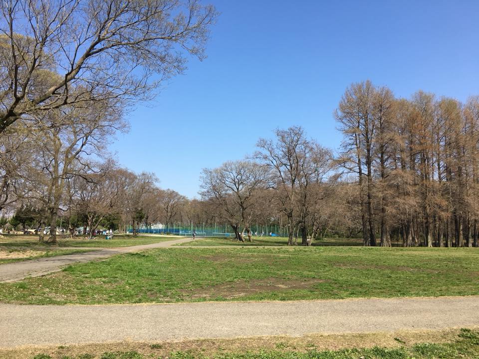 広大な芝生広場でバーベキュー！デイキャンプは「秋ヶ瀬公園」で！