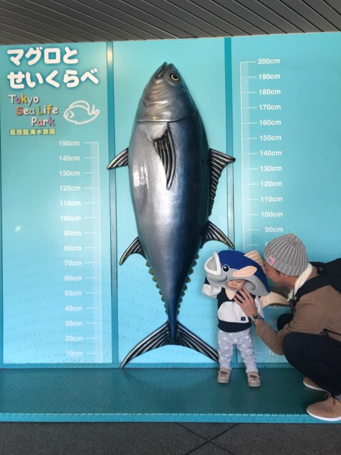 『体験談』1歳の子どもと行く葛西臨海水族館