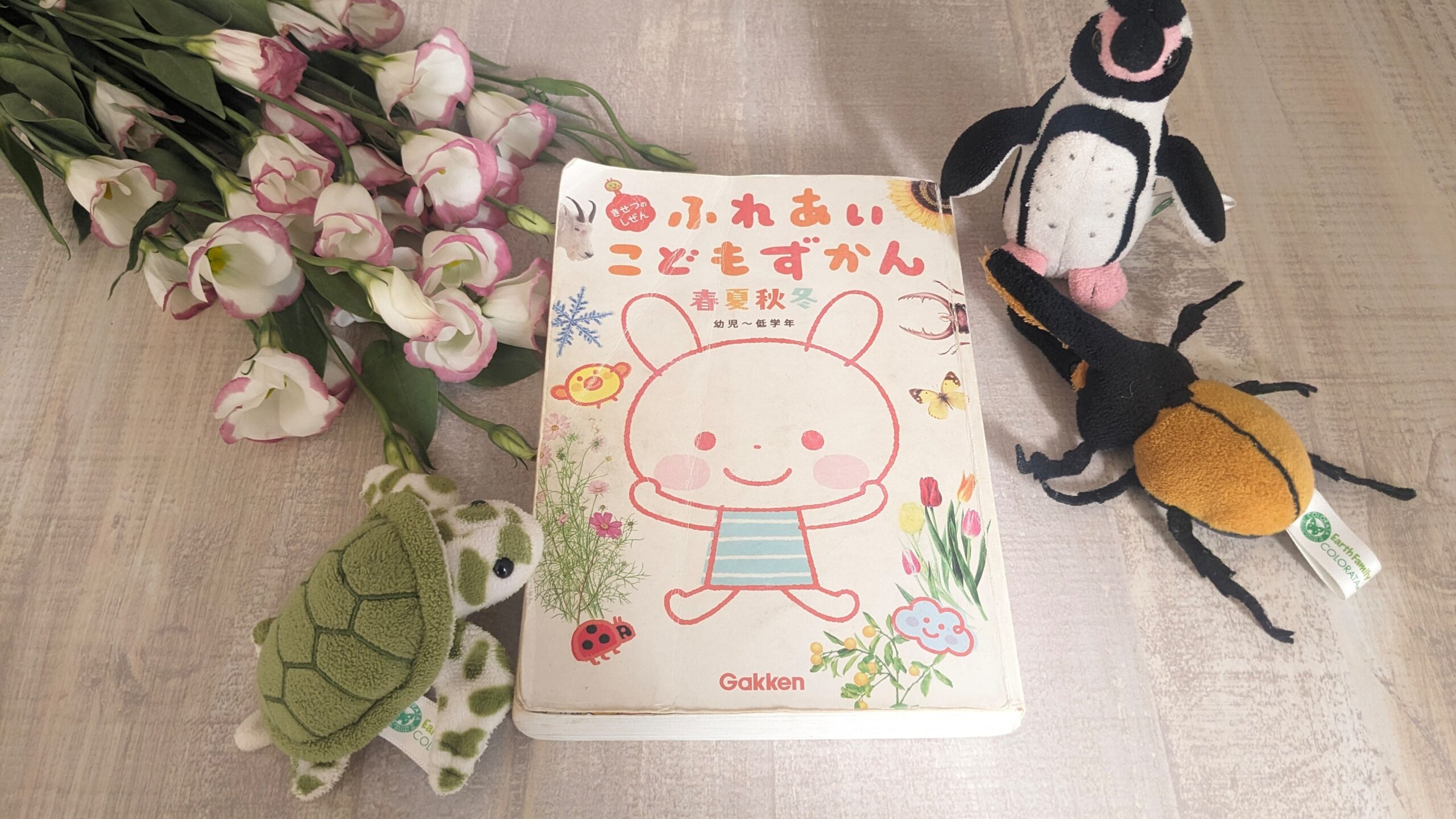 おうち時間も充実！ワクワクが詰まった持ち運べる「ずかん」