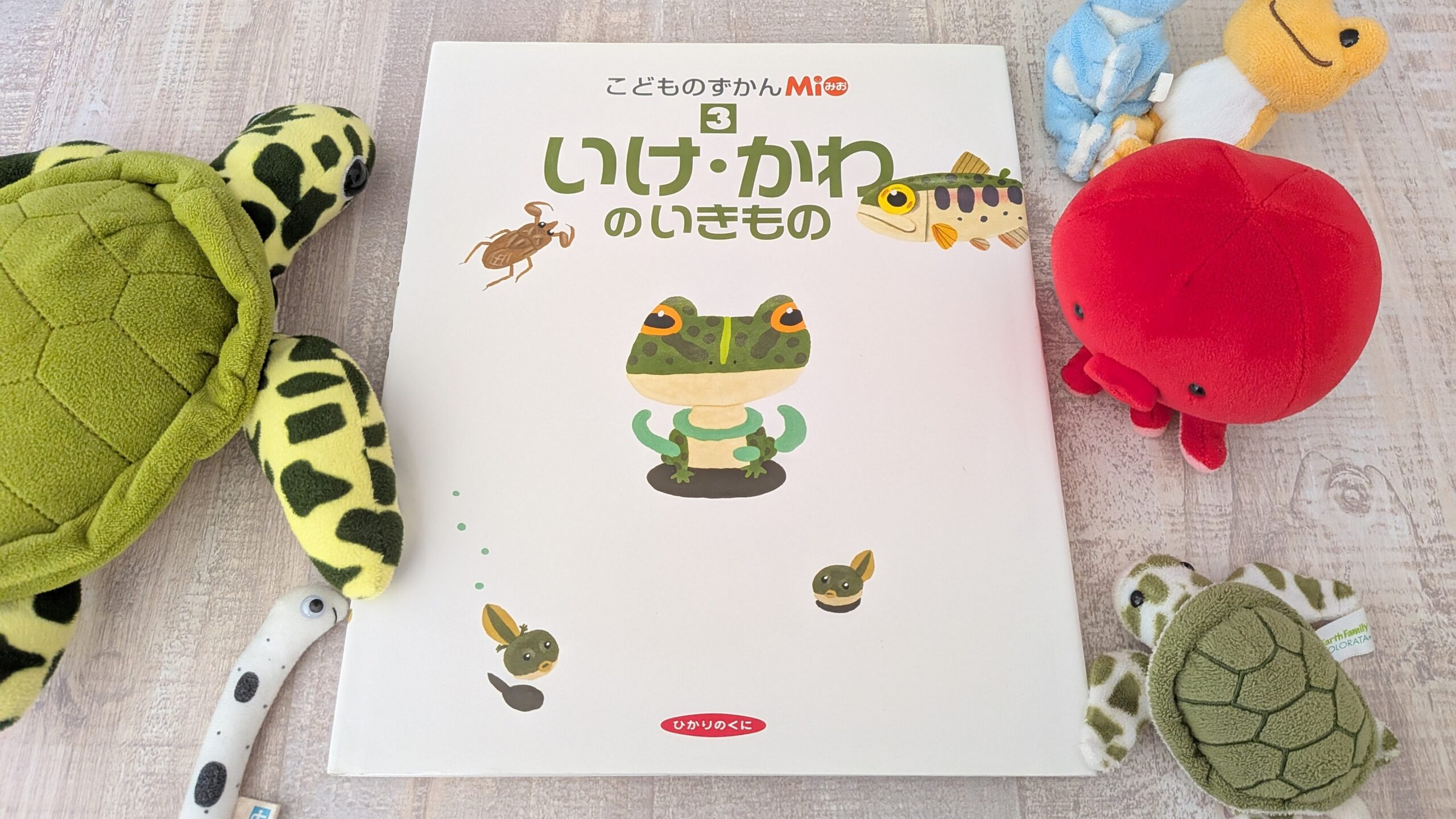 友達作りに一役かった「自信をつけてくれた絵本」
